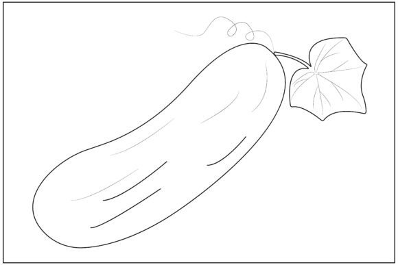 Aesthetic Cucumber Vegetable Line Art: A Designer’s Review