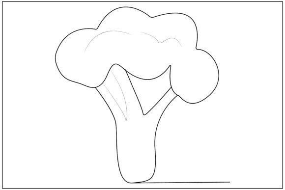 Broccoli Line Art: Graphics & Illustrations